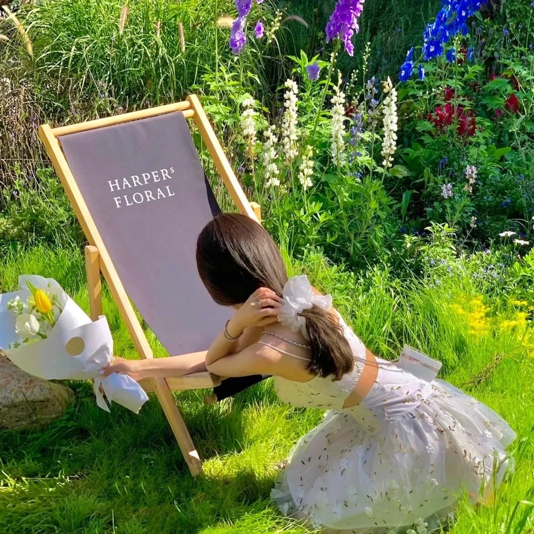 我家陛下柔弱不能自理