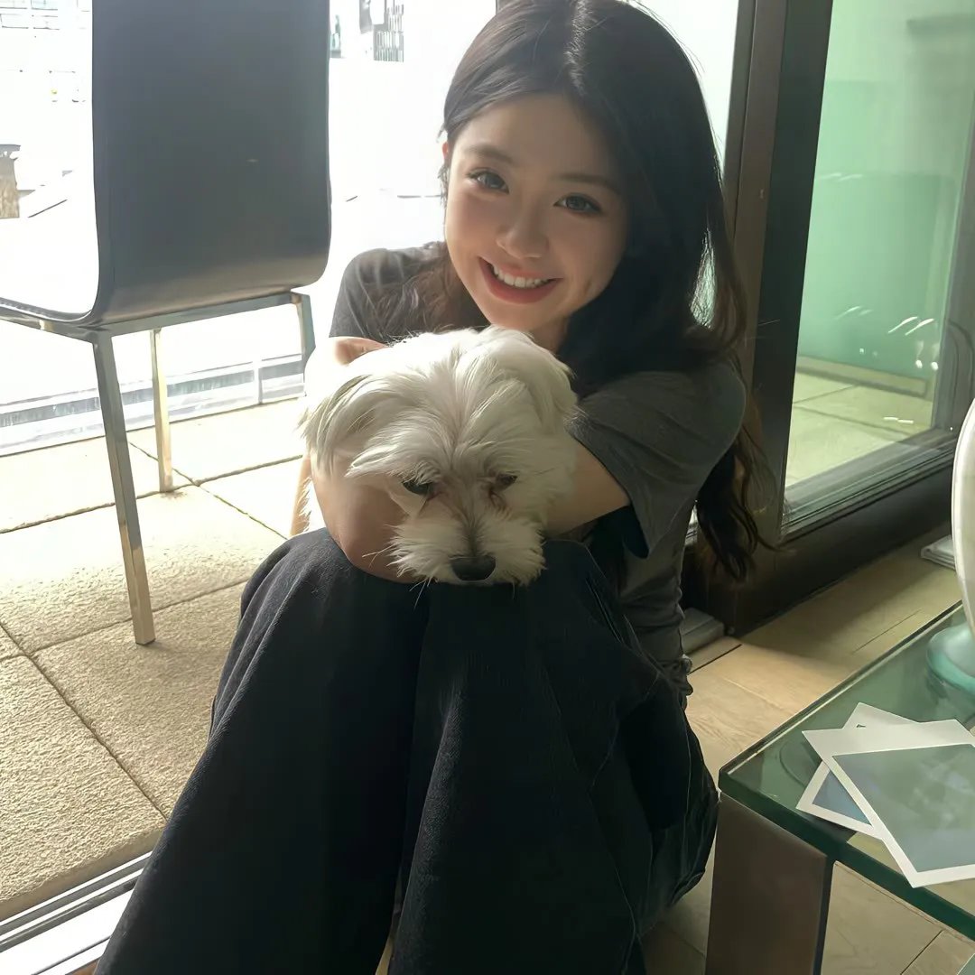 火药、背叛和阴谋